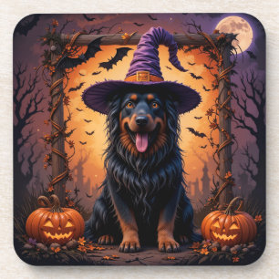 Cute Dog in Witch Hat Surrounded by Pumpkins Coaster