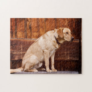 cute dog jigsaw puzzle