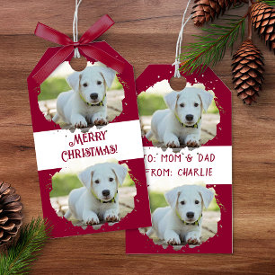 Cute Dog Lovers Personalized Photo Pattern Red Gift Tags