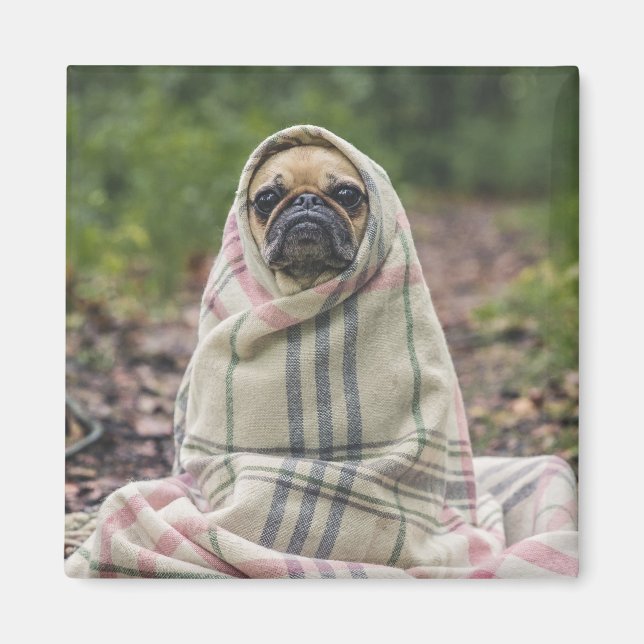 Cute Dog magnet 2 (Front)