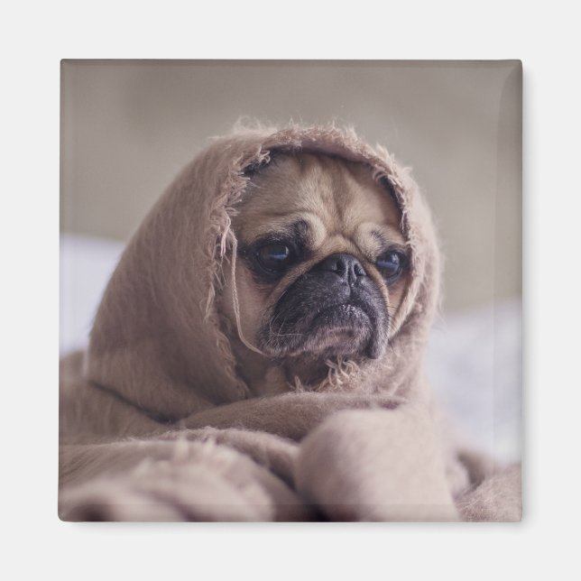 Cute Dog magnet 3 (Front)