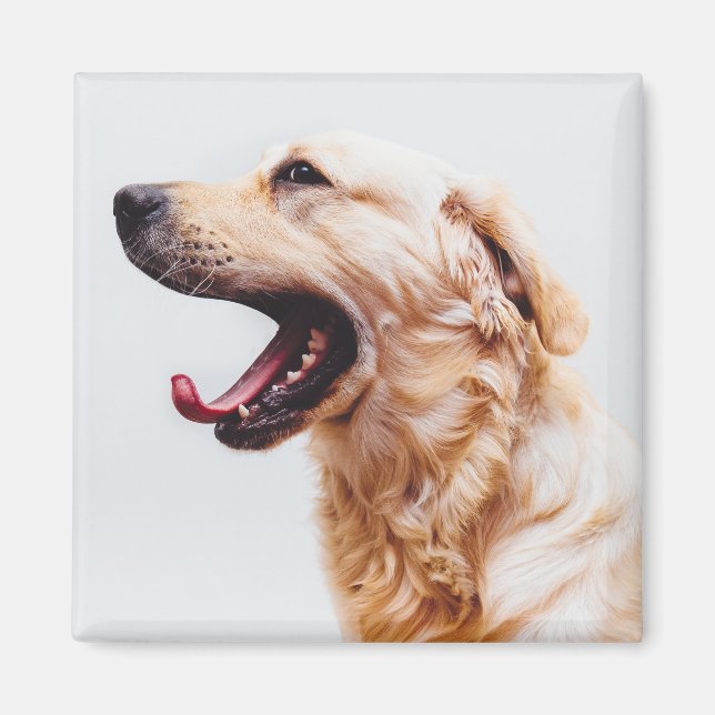 Cute Dog magnet 6 (Front)