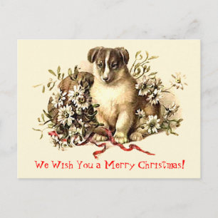Cute Dog Merry Christmas Cards and Postcards