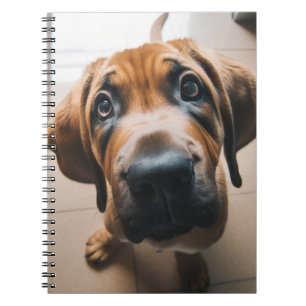 Cute Dog Notebook