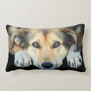 Cute dog on any colour background lumbar pillow