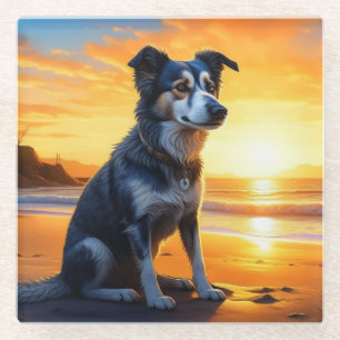 Cute Dog on Beach at Sunset Glass Coaster