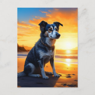 Cute Dog on Beach at Sunset   Saying Hello Postcard