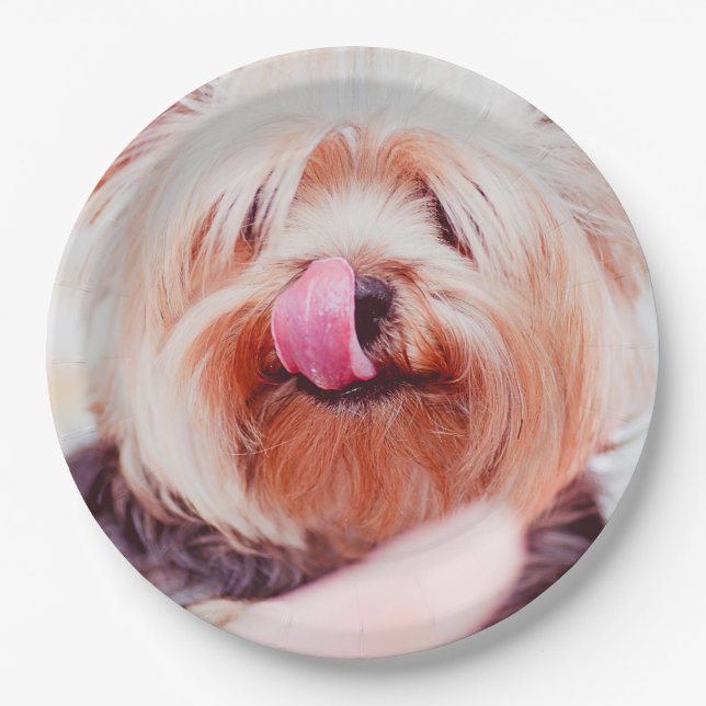 Cute Dog paper plates 5 (Front)