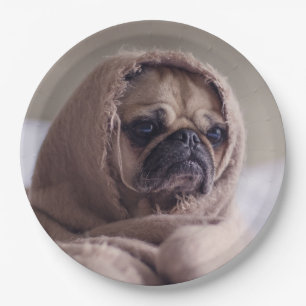 Cute Dog paper plates 8