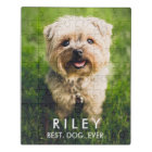 Cute Dog Personalized Pet Photo Custom