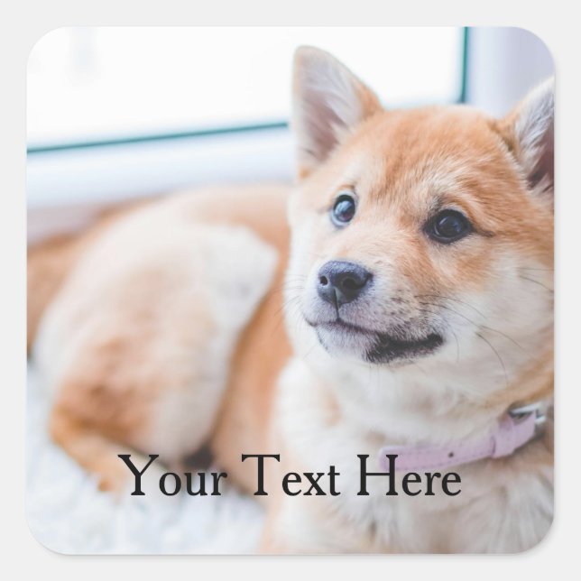 Cute Dog Personalized Photo and Text Square Sticker (Front)