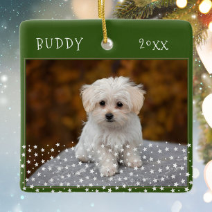 Cute Dog Pet 2 Photos Star Pattern Green Christmas Ceramic Ornament