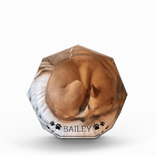 Cute Dog Pet Photo Name Pawprints Gemstone