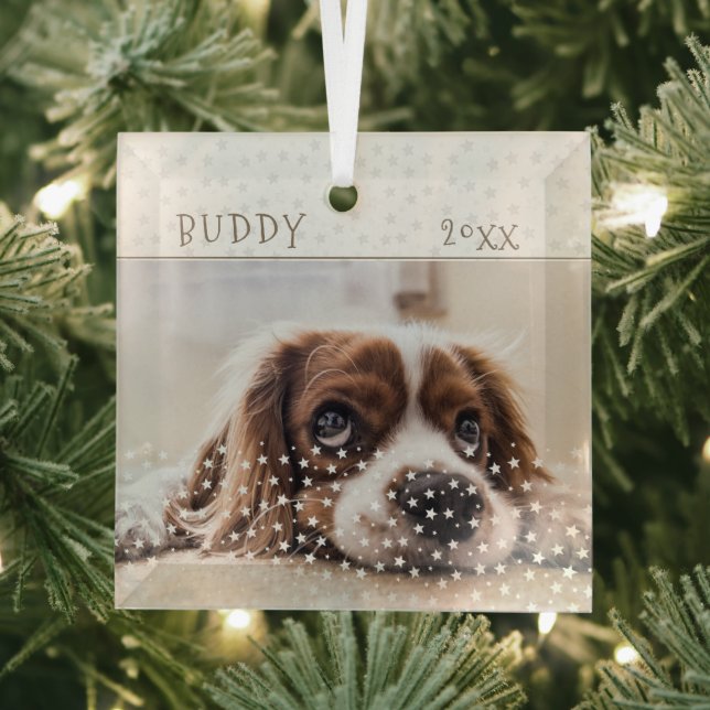 Cute Dog Pet Photo Star Pattern Christmas Glass Ornament (Insitu)