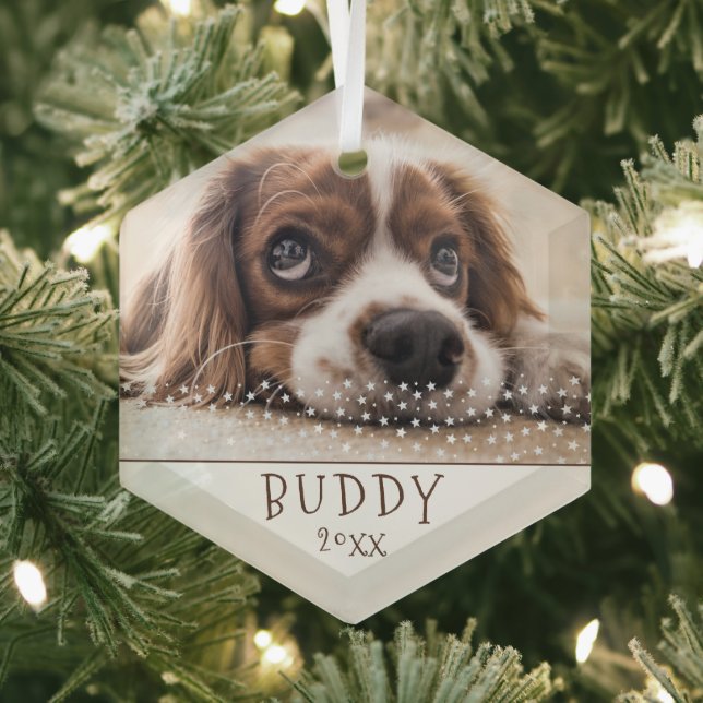Cute Dog Pet Photo White Stars Christmas Glass Ornament (Insitu)