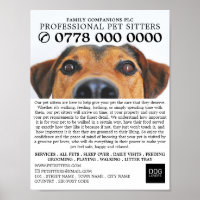 Cute Dog, Pet Sitting Service Advertising