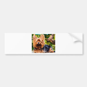 Cute Dog Pet Yorkie Peace Love Destiny Fun Art Bumper Sticker