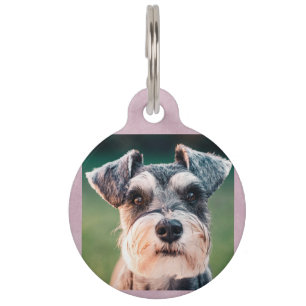 Cute Dog Photo and QR Code   Pink Dog Pet ID Tag