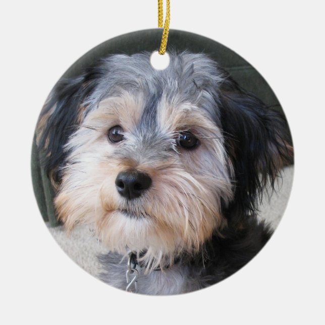 Cute Dog Photo Frame - DOUBLE-SIDED Ceramic Ornament (Front)