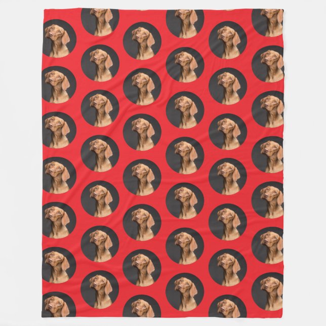 Cute Dog Photo Modern  Fleece Blanket (Front)