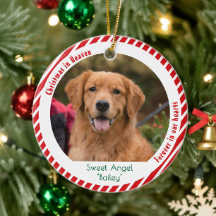 Cute Dog Photo Pet Memorial Keepsake Christmas Ceramic Ornament