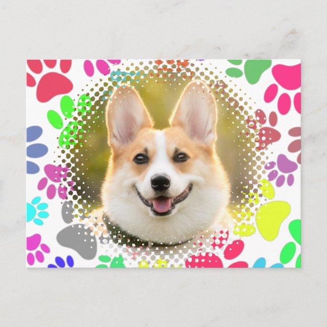 Cute Dog Picture Paw Pattern Custom  Postcard (Front)