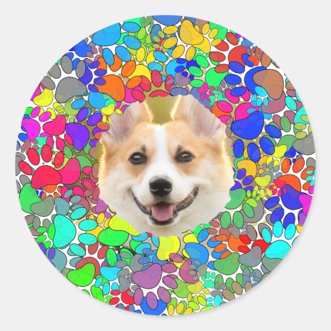 Cute Dog Picture Paw Print Pattern Custom  Classic Round Sticker (Front)