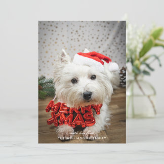 Cute Dog Puppy Merry Christmas Card