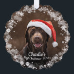 Cute Dog Puppy Pet First Christmas Photo Snowflake Ornament Card<br><div class="desc">Cute Dog Puppy Pet First Christmas Photo Snowflake Ornament Card</div>