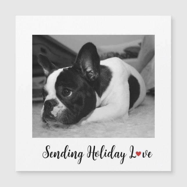 Cute Dog Sending Holiday Love (Front)
