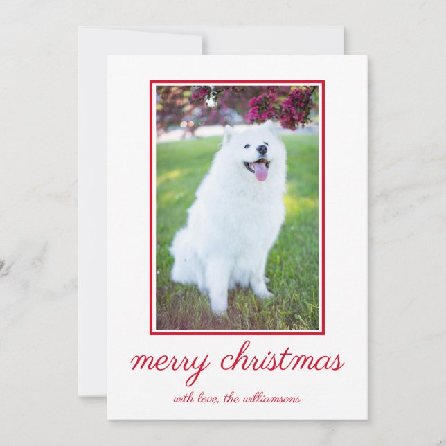Cute Dog Simple Photo Christmas  Holiday Card (Front)