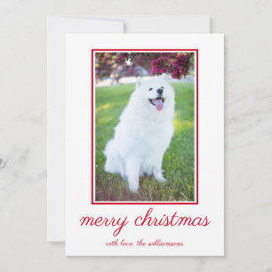 Cute Dog Simple Photo Christmas  Holiday Card