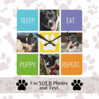 Cute Dog Sleep Eat Repeat Animal Lover's Modern