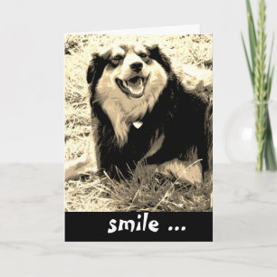 cute dog smile photo humorous birthday card
