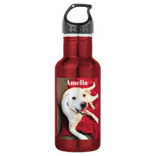 Cute Dog Smiling Photo Funny Red and White 532 Ml Water Bottle