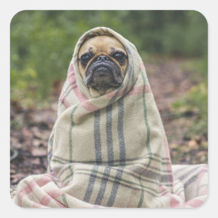 Cute Dog stickers 2