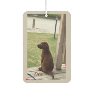 Cute Dog Surveying Backyard and Creek Air Freshener