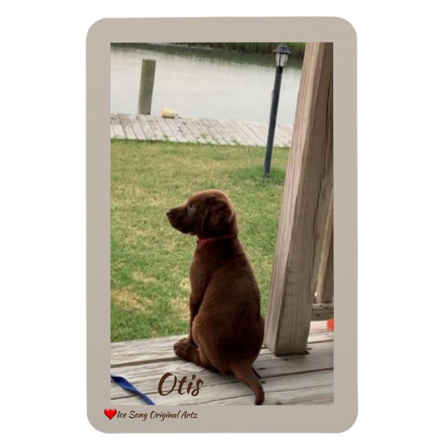 Cute Dog Surveying Backyard and Creek Magnet (Vertical)