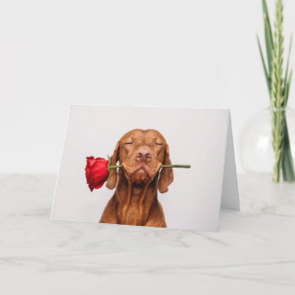 Cute Dog Valentine's Day Card