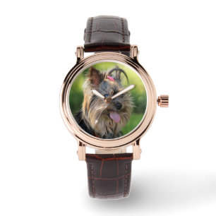 Cute Dog watches