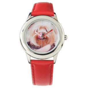 Cute Dog watches