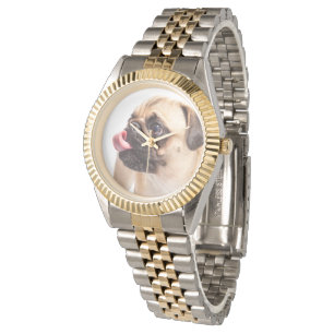 Cute Dog watches