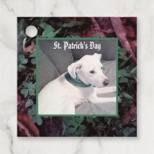 Cute Dog Wearing Green Scarf Shamrocks Clovers Favour Tags