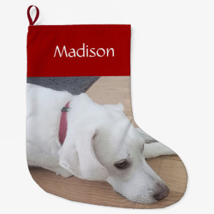 Cute dog Wearing Red Collar Christmas Large Christ Stocking