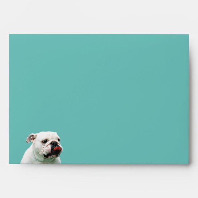 Cute dog white Bulldog Envelope (Front)