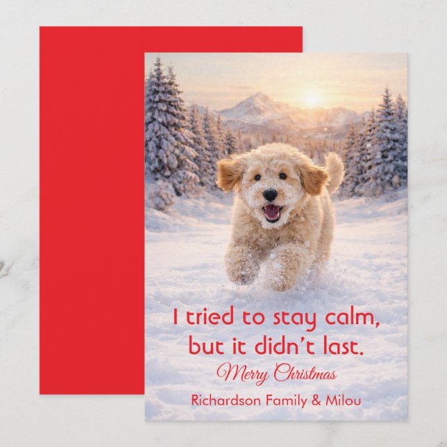 Cute Dog with Christmas Funny Quote | Holiday Card (Front/Back)