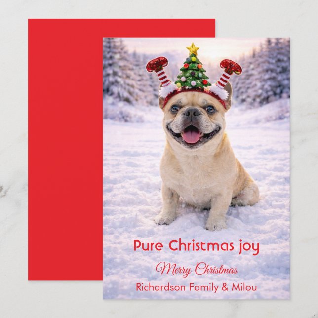 Cute Dog with Christmas Tender Quote  Holiday Card (Front/Back)