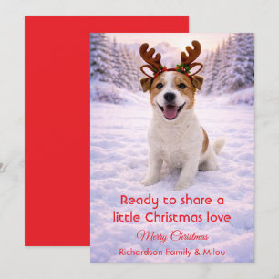 Cute Dog with Christmas Tender Quote  Holiday Card