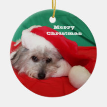 Cute Dog with Hat Christmas Ornament