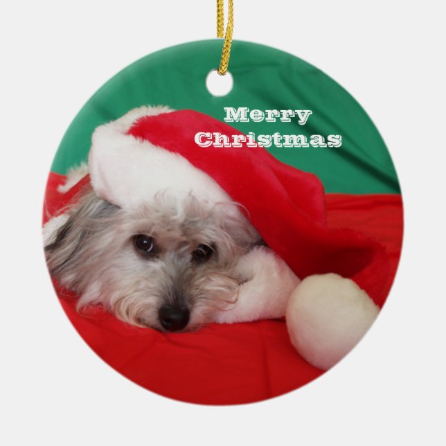 Cute Dog with Hat Christmas Ornament (Front)